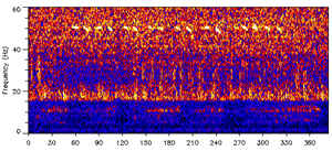 A color spectrogram. Frequency in hertz runs up the left axis from zero to sixty, time runs left to right, and the field is mottled red and blue. A row of short bright yellow-white marks sits just above the fifty-hertz line, spaced out along the frame with gaps between them.