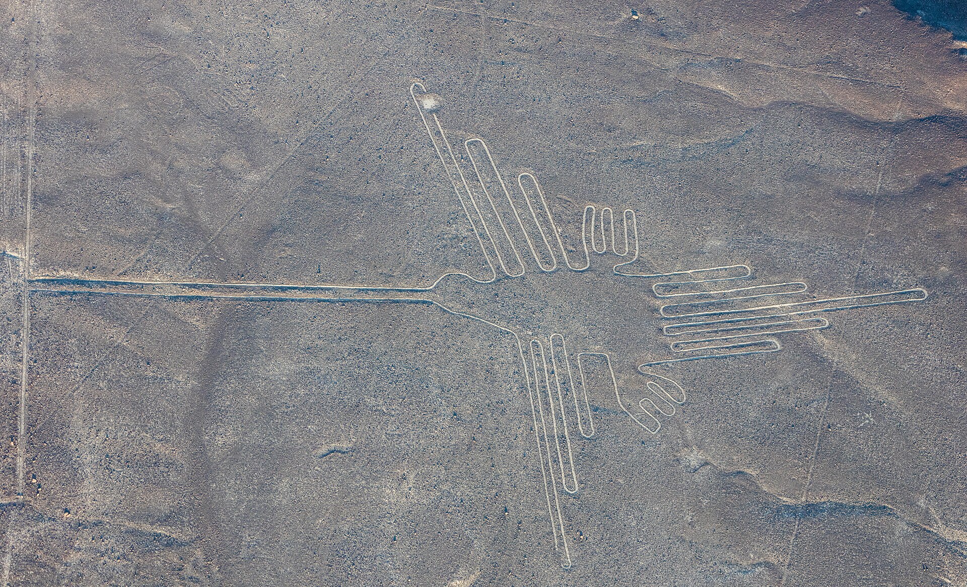 Aerial photograph of a pale line drawing of a bird cut into grey desert gravel: a long straight beak, a narrow body, two fanned wings and a forked tail, all formed by one continuous pale groove. A separate dead-straight line crosses the frame and runs into the bird's beak.